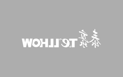 以“数字世博”引领传统制造业改造 黄代放总裁为上海产业发展谋划