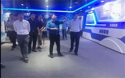 重庆市大渡口区常务副区长莅临泰豪公司交流调研