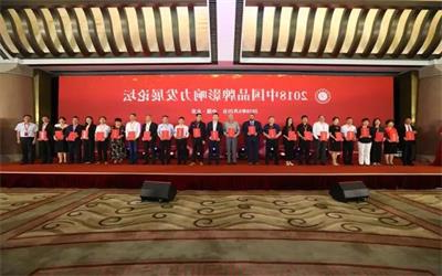 泰豪公司荣膺“2018中国品牌影响力百强”企业