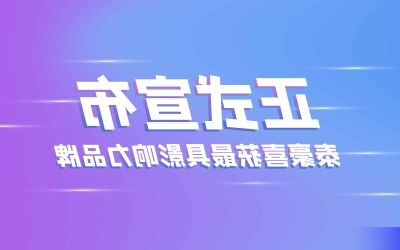 正式官宣：泰豪喜获最具影响力品牌
