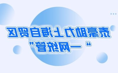 泰豪助力上海自贸区“一网统管”